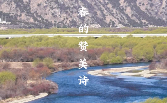 W020250414814806875110.png